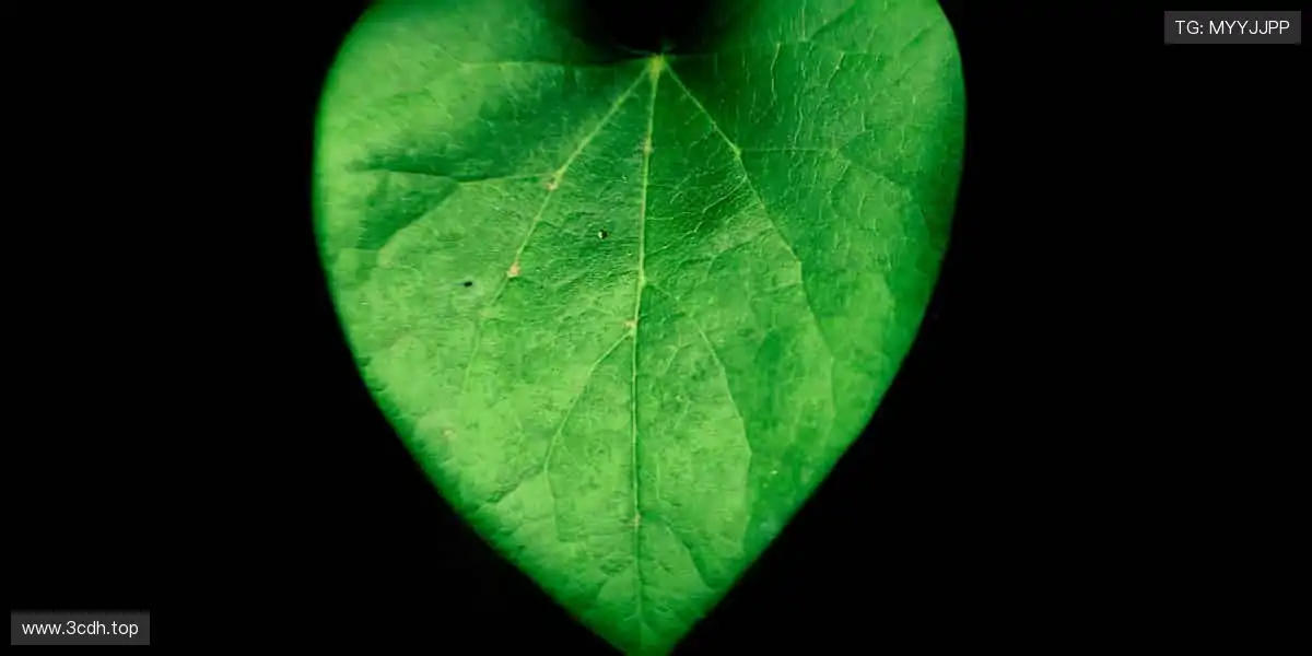 🌟 与千万球迷同频，共享胜利喜悦！🎊